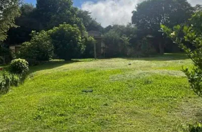 Terreno à venda na Rua dos Coqueiros, 479, São Lucas, Viamão