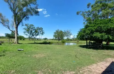 Chácara / sítio com 4 quartos à venda na Rua Vigário da Província, 829, Passo do Vigário, Viamão
