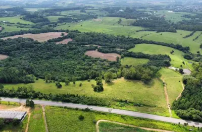 Oportunidade única de investimento: área de terras à margem da rs 118