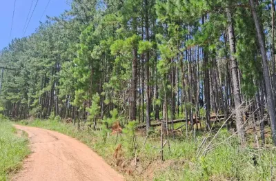 Chácara / sítio à venda na Estrada Passo do Morrinho, s/n, Fiuza, Viamão