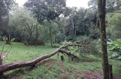 Terreno à venda na Rua Ernesto da Fontoura, 285, Tarumã, Viamão