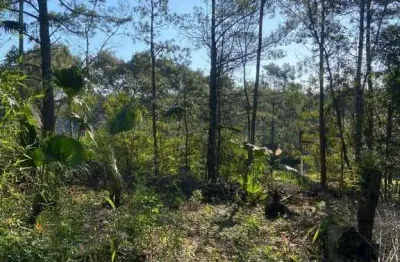 Terreno à venda na Avenida João Carlos Viale Dias, 954, Tarumã, Viamão