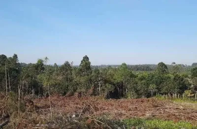 Chácara / sítio à venda na Rua José Florêncio dos Santos, 124, Passo do Vigário, Viamão