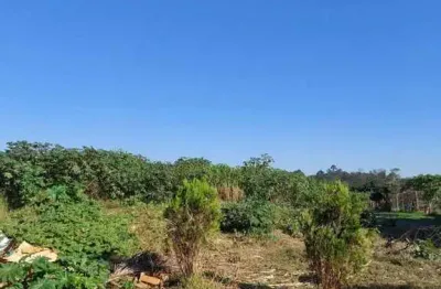 Terreno à venda na Rua Presidente Vargas, 1068, Esmeralda, Viamão