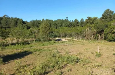 Chácara / sítio com 1 quarto à venda na Rua Manoel Santana, 2250, Branquinha, Viamão