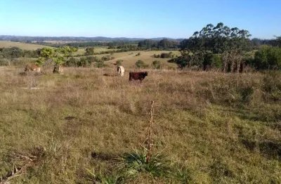 Chácara / sítio com 4 quartos à venda na Estrada da Estancia Grande, 999, Estância Grande, Viamão