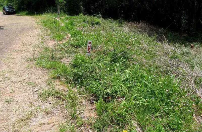 Lote em condomínio à venda, condomínio cantegril - viamão/rs