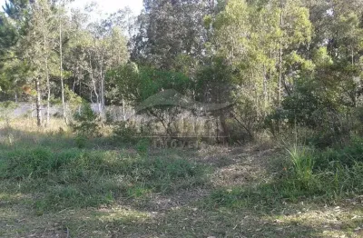 Terreno em condomínio fechado à venda na Avenida Liberdade, 4000, Santa Isabel, Viamão