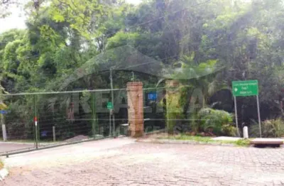 Terreno à venda na Avenida Senador Salgado Filho, 6614, São Lucas, Viamão