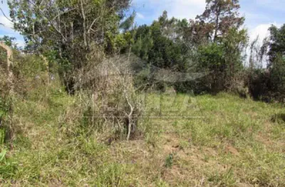 Terreno comercial para alugar na Rodovia Rs-040, Águas Claras, Viamão