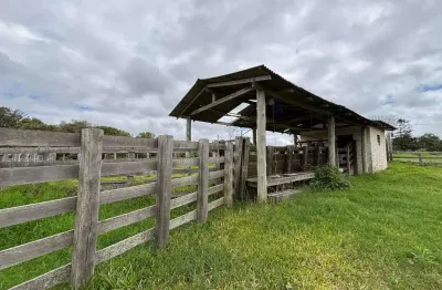 Fazenda à venda, 5 quartos, 3 suítes, 5 vagas, águas claras - viamão/rs