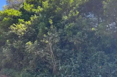 Terreno à venda na Estrada dos Cunha, s/n, Fiuza, Viamão