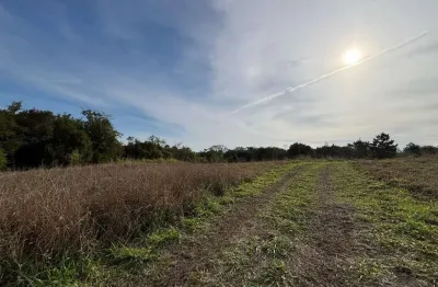 Chácara / sítio à venda na Estrada dos Guterres, s/n, Fiuza, Viamão