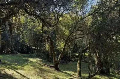 Terreno à venda na Beco Capão Bonito, s/n, Fiuza, Viamão