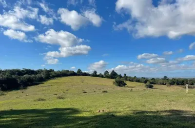 Excelente sítio 12hec, com 2 residências, 1 açude, poço e mangueira, se localiza em viamão/rs - vende com mobília