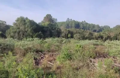 Chácara / sítio à venda na Rodovia Coronel Acrísio Martins Prates, 4076, Fiuza, Viamão