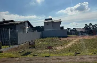 Terreno à venda na Avenida Mendanha, 500, Cocão, Viamão