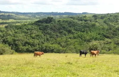 Chácara / sítio à venda na Estrada Do Pesqueiro, 3593, Passo da Areia, Viamão