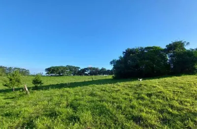 Chácara / sítio à venda na Estrada dos Cunha, 2691, Santo Onofre, Viamão