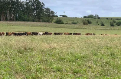 Chácara / sítio à venda na Área Rural, Capão da porteira, Viamão