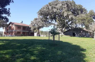 Chácara / sítio com 20 quartos à venda na Estrada Capitão Gentil Machado de Godoy, 3670, Vila Elsa, Viamão