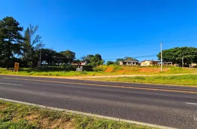 Terreno à venda na Rodovia Rs040, Águas Claras, Viamão