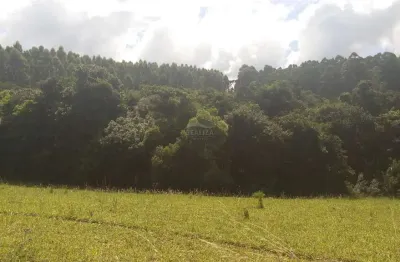 Terreno à venda na Estrada Canta Galo, 2500, Cantagalo, Viamão