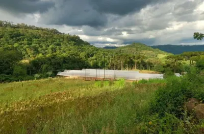 Chácara / sítio à venda no Desvio Rizzo, Caxias do Sul 