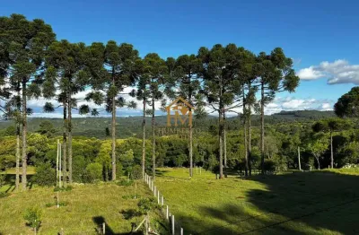 Chácara / sítio com 3 quartos à venda na Rua Ismael José Rangel de Castilhos, 1, Ana Rech, Caxias do Sul