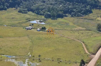 Fazenda 3 dormitórios à venda britadeira são francisco de paula/rs