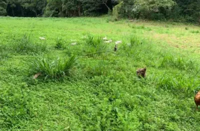 Chácara / sítio com 2 quartos à venda na estrada marcos barbosa, chácara sete cruzes, suzano, 110 m2 por r$ 3.000.000