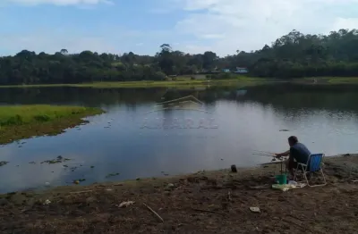 Fazenda à venda na Estrada Do Yamamoto, A1m0a rAal, Sertãozinho, Biritiba-Mirim