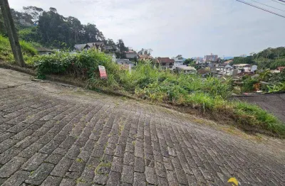 Terreno à venda, 450 m² por r$ 150.000,00 - escola agrícola - blumenau/sc