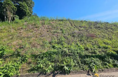 Terreno à venda, 476 m² por r$ 350.000,00 - fortaleza - blumenau/sc