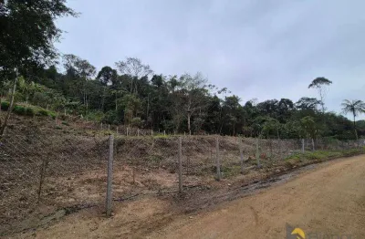 Terreno à venda, 23369 m² por r$ 1.000.000,00 - itoupava norte - blumenau/sc