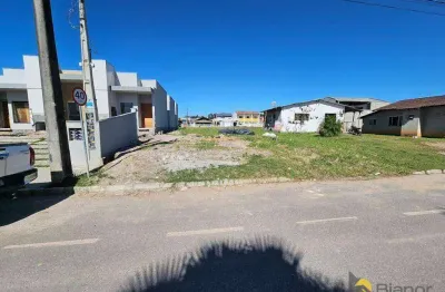 Terreno à venda, 360 m² por r$ 199.000,00 - figueira - gaspar/sc