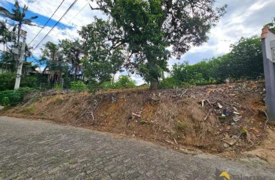 Terreno à venda, 335 m² por r$ 360.000,00 - salto do norte - blumenau/sc