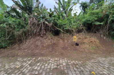 Terreno à venda, 430 m² por r$ 150.000,00 - escola agrícola - blumenau/sc