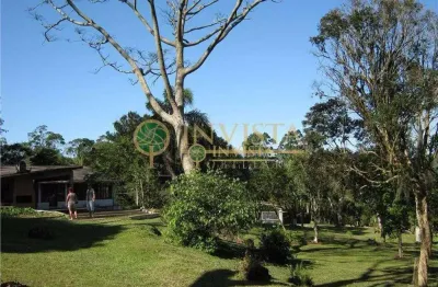 Terreno residencial à venda, santo antônio de lisboa, florianópolis.