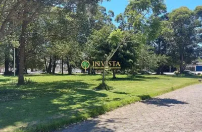 Terreno à venda na Rua Maestro Manoel Pernes da Silva, 1, Santa Mônica, Florianópolis