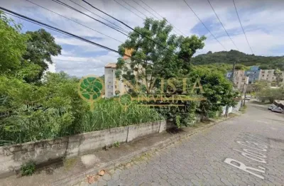 Terreno residencial à venda, pantanal, florianópolis - te0243.