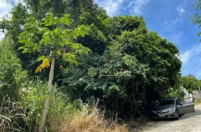 Terreno à venda, 474 m² por r$ 350.000,00 - ribeirão da ilha - florianópolis/sc