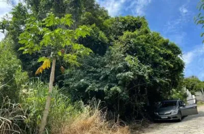 Terreno à venda, 474 m² por r$ 350.000,00 - ribeirão da ilha - florianópolis/sc