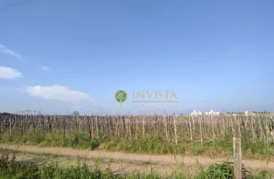 Terreno à venda na Rua Duzentos E Noventa, 1, Guarda do Cubatão, Palhoça