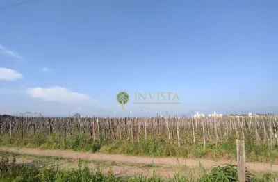 Terreno à venda na Rua José Pedro Correia Filho, 1, Guarda do Cubatão, Palhoça