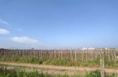 Terreno à venda na Rua José Pedro Correia Filho, 1, Guarda do Cubatão, Palhoça