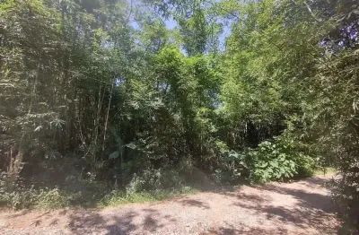 Terreno à venda na Servidão Bambuzal, 140, Campeche, Florianópolis