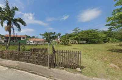 Terreno comercial à venda na Rua Deputado Fernando Viegas, 344, Ponta das Canas, Florianópolis