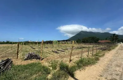 Terreno comercial à venda na Servidão João Vieira, 500, Guarda do Cubatão, Palhoça