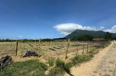 Terreno comercial à venda na Servidão João Vieira, 500, Guarda do Cubatão, Palhoça